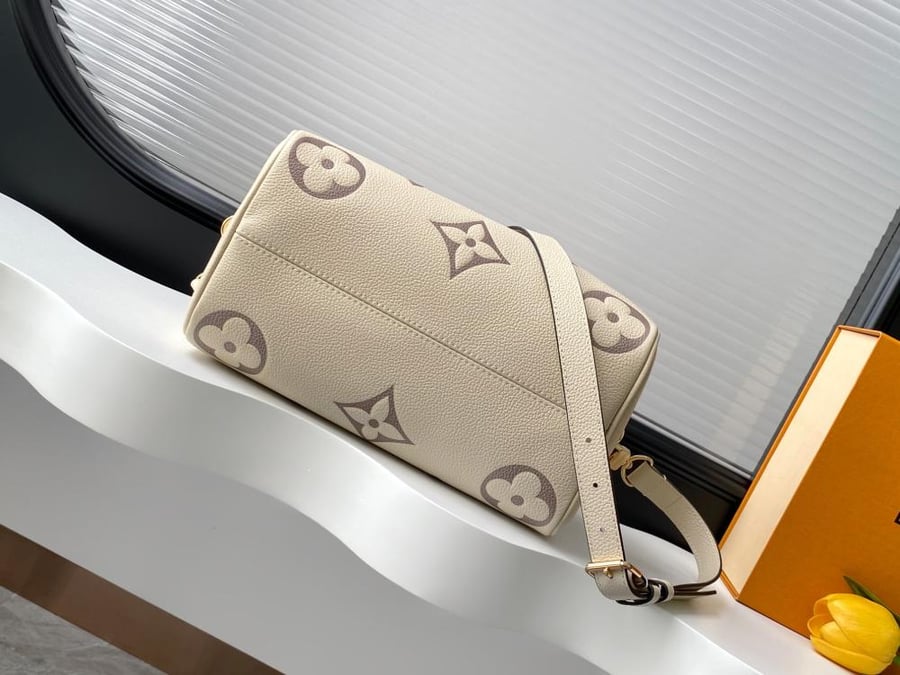 لوي فيتون Speedy 25
