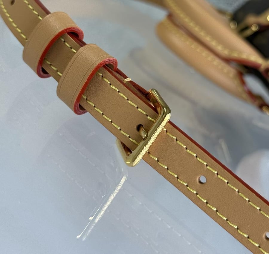 لوي فيتون Speedy nano