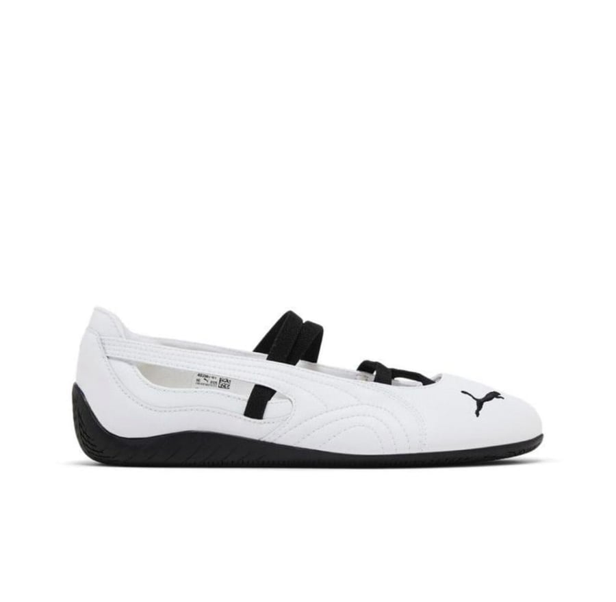 Puma 1