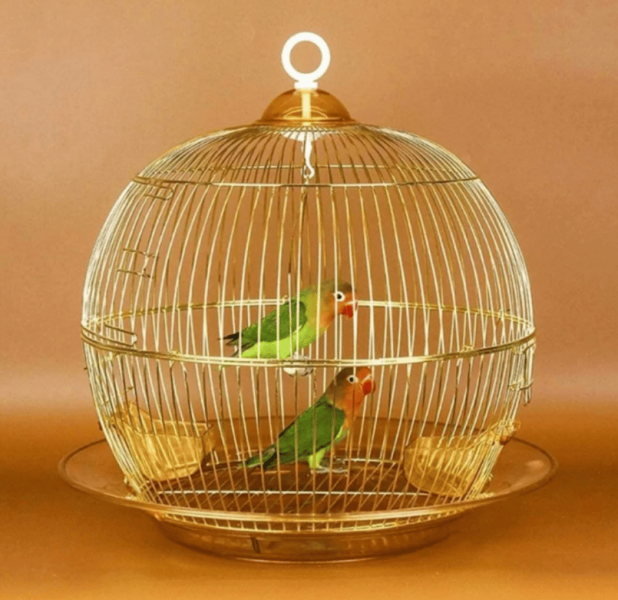 قفص ذهبي دائري