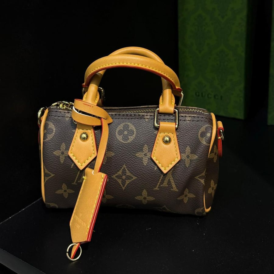 Louis Vuitton Speedy Nano bag