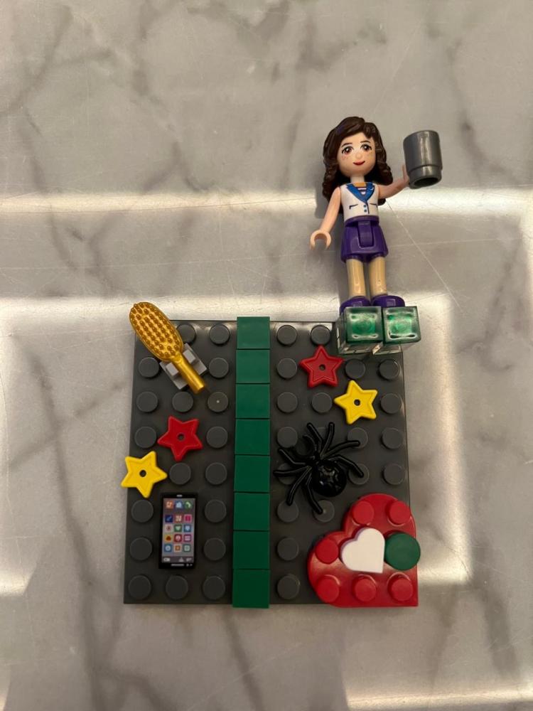 Lego case