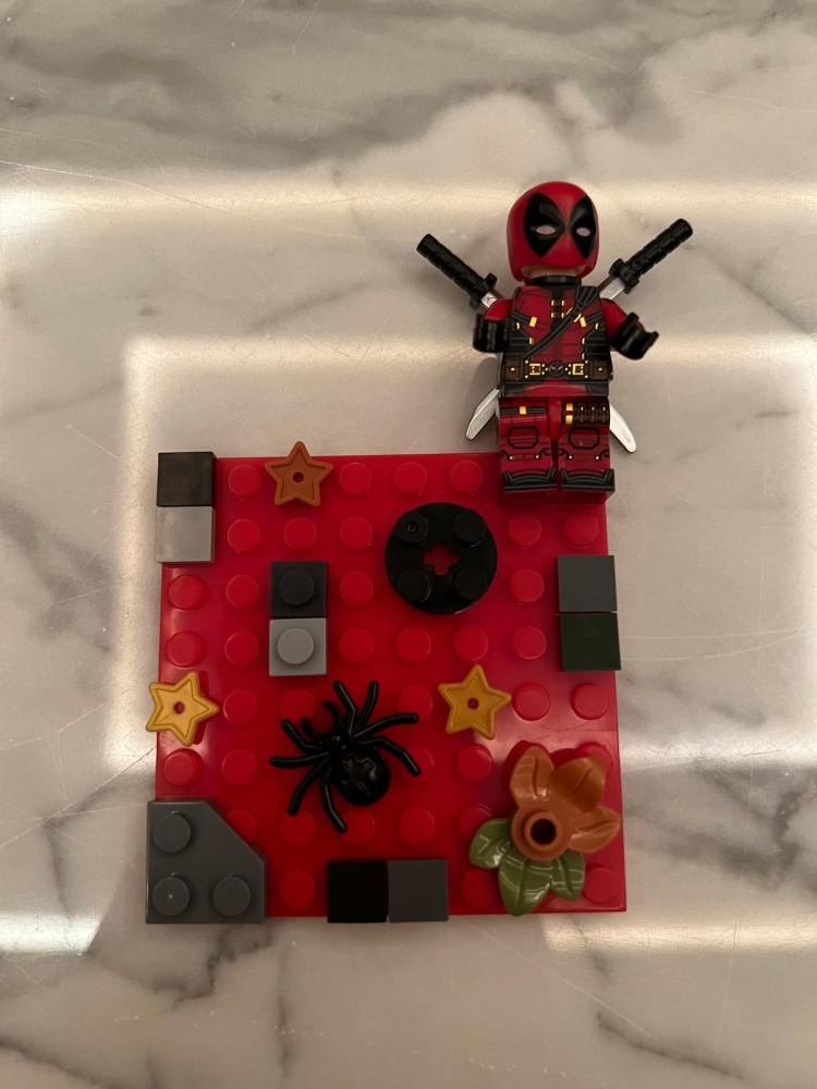 Lego case