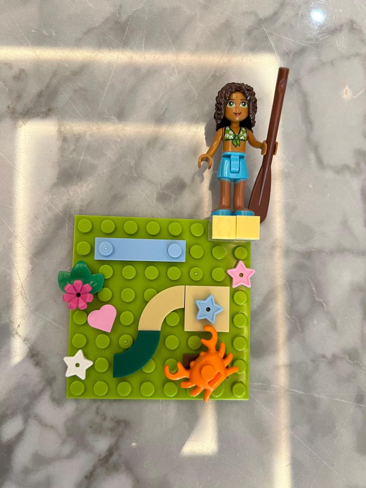Lego case