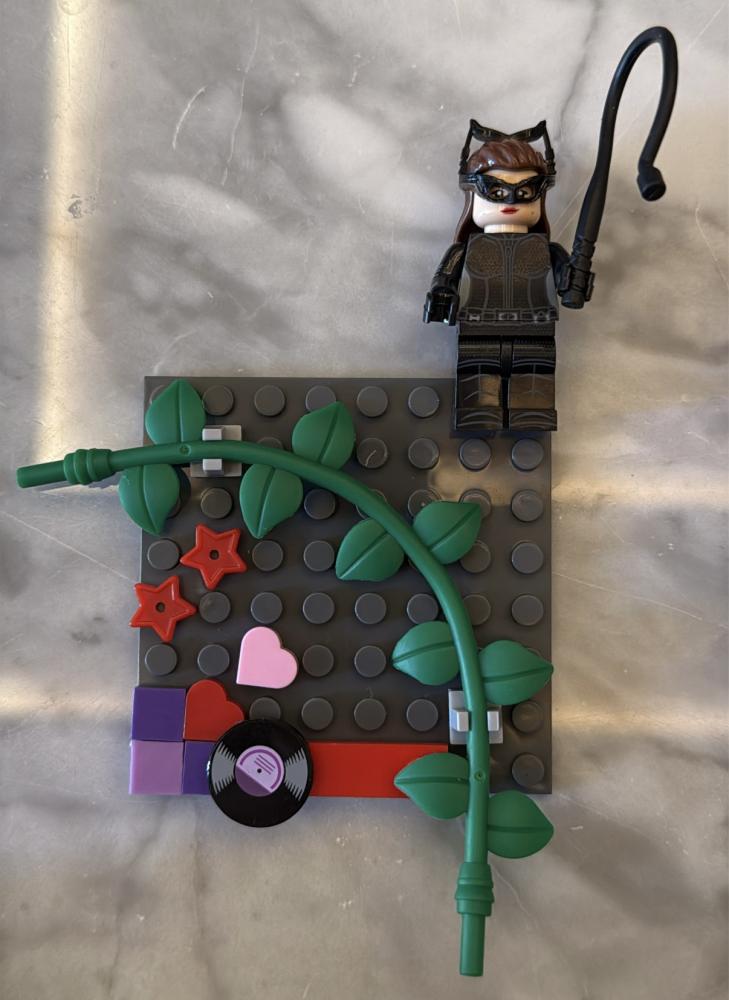 Lego case