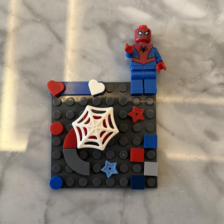 Lego case