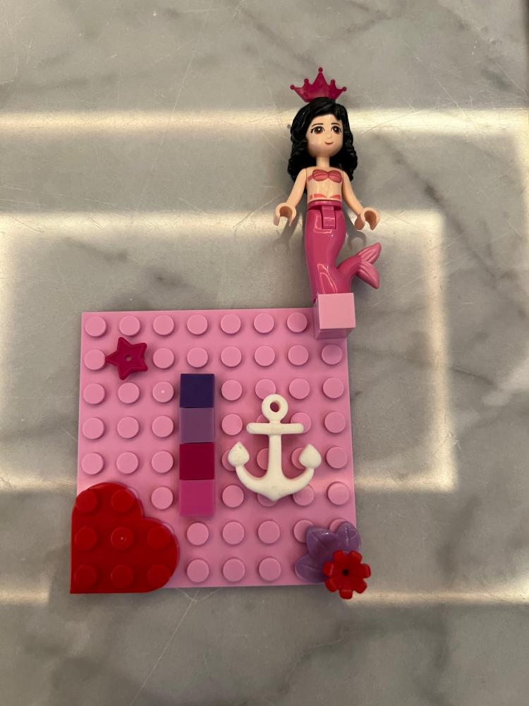 Lego case