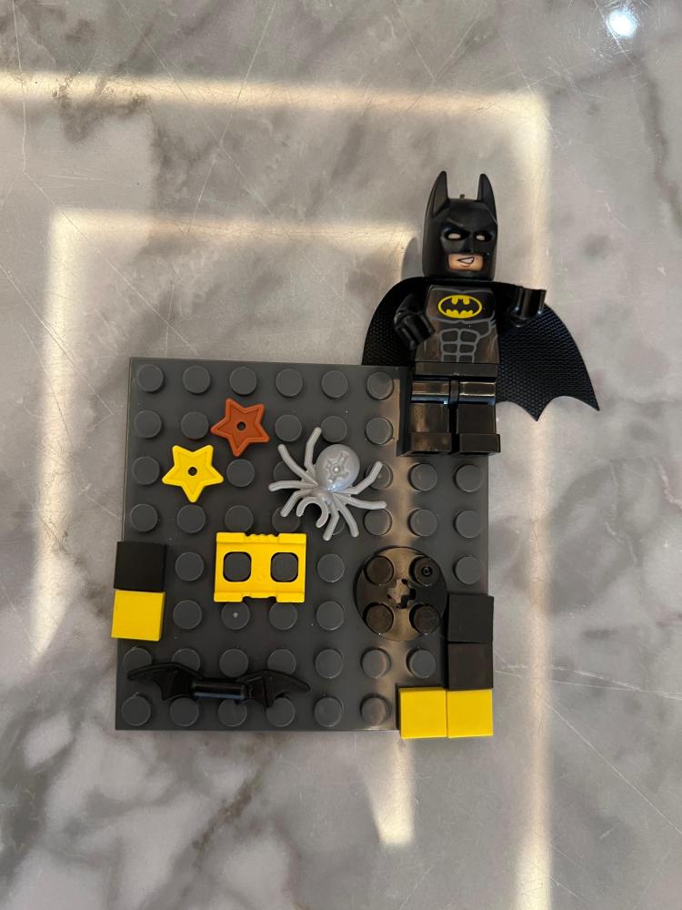 Lego case