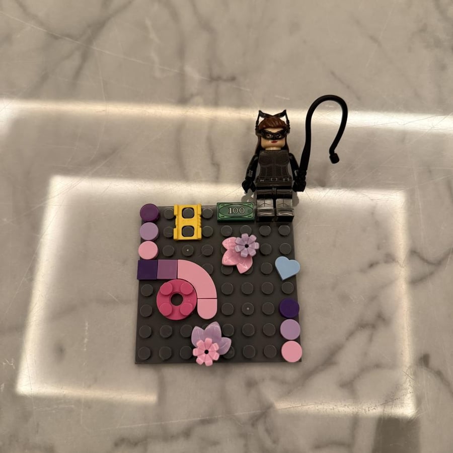 Lego case