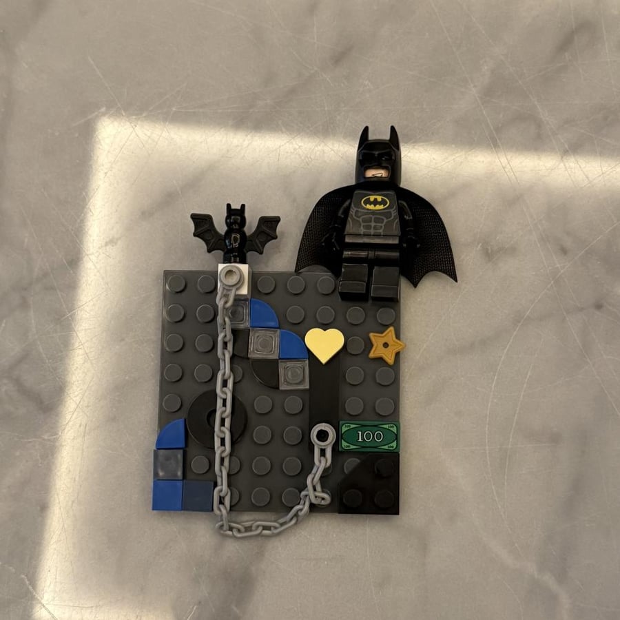 Lego case