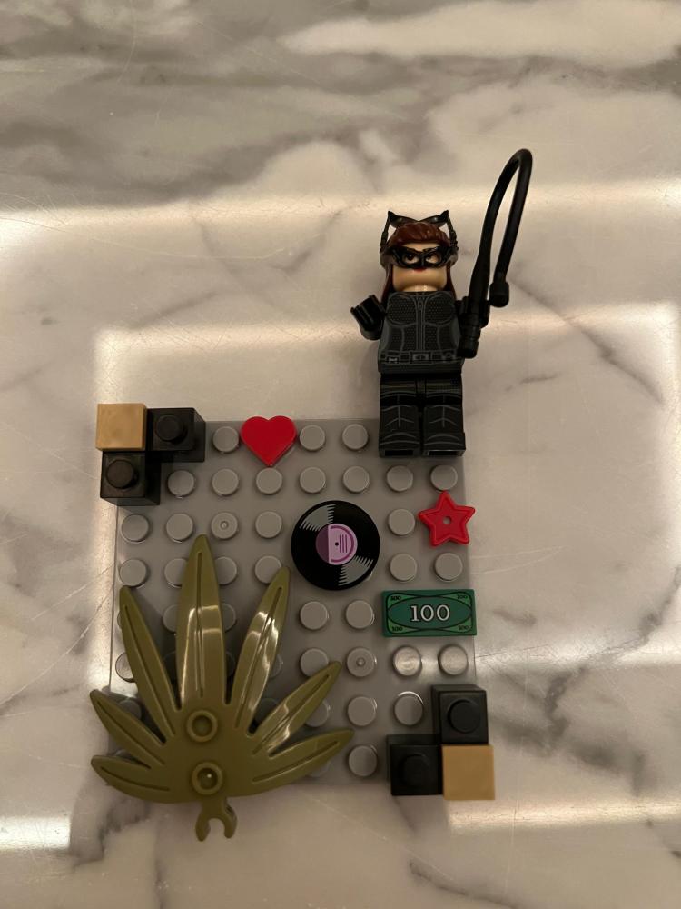 Lego case