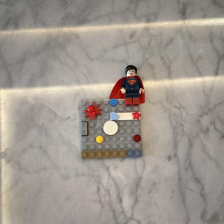 Lego case