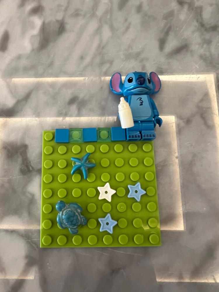 Lego case