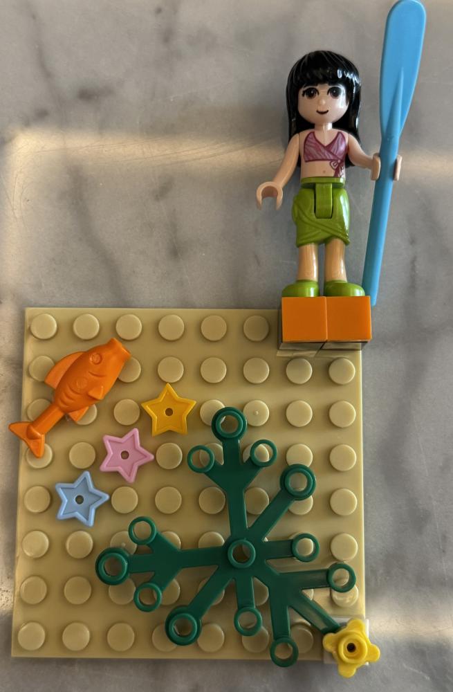 Lego case