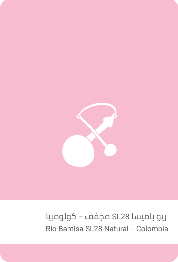 محمصة سلالات - ريو باميسا SL-28 - كولومبيا-250G