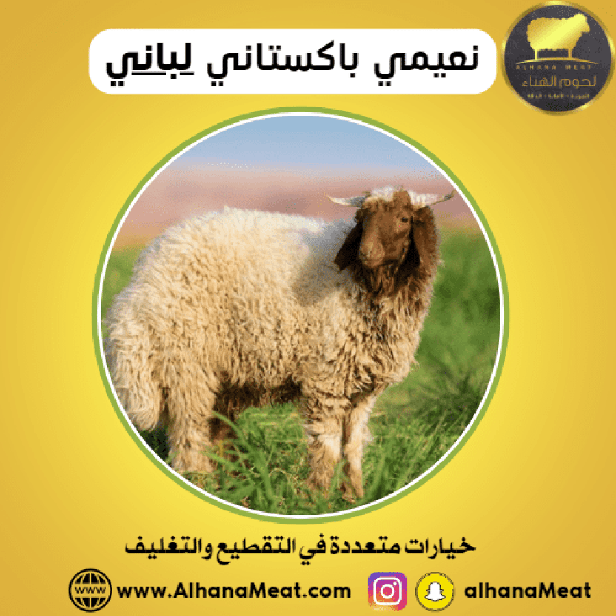 خروف نعيمي باكستاني ذبيحة مبرد نعيمي باكستاني غنم  ذبيحة باكستاني