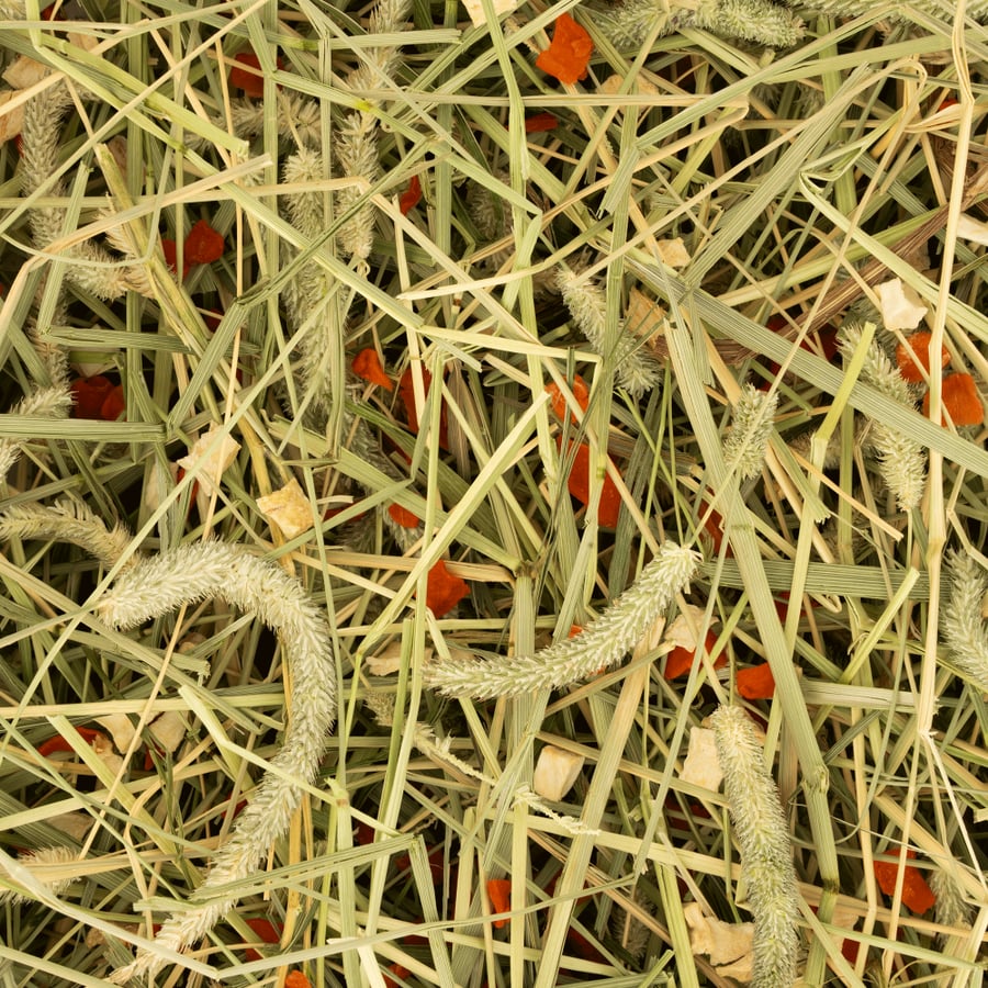 chinchilla food