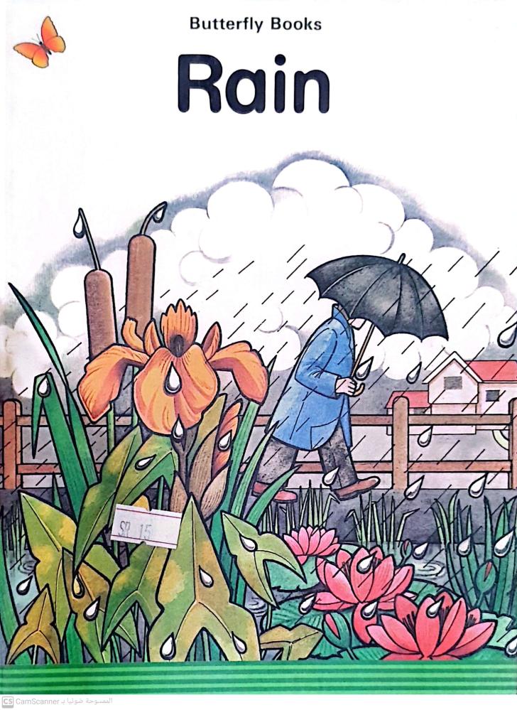 Rain Butterfly books