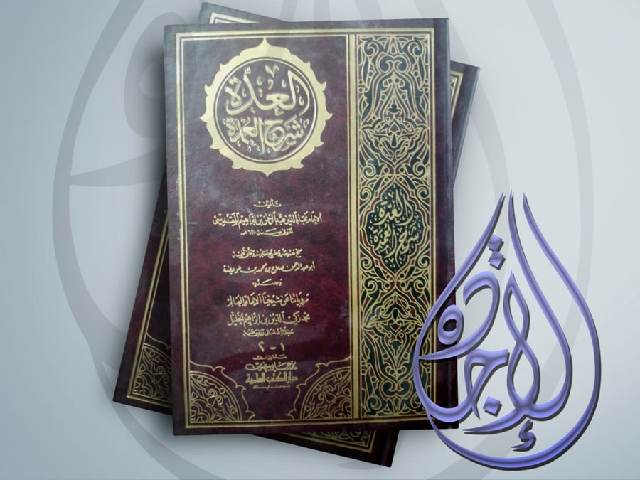 The multiple explanation of the Mukhtasar for Imam Baha al-Din Abdul Rahman Ibrahim al-Maqdisi