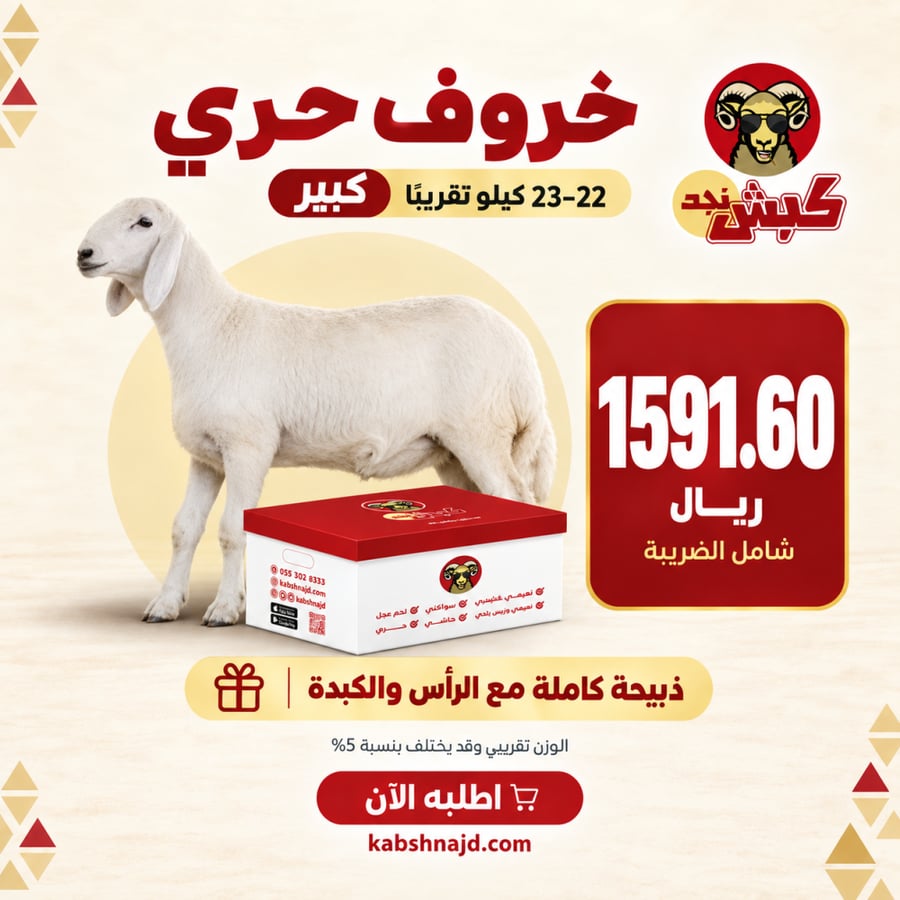 خروف حري كبير