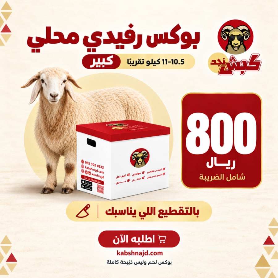 Box Rafi local large