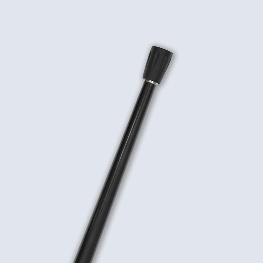 A luxurious stick with an eagle head handle