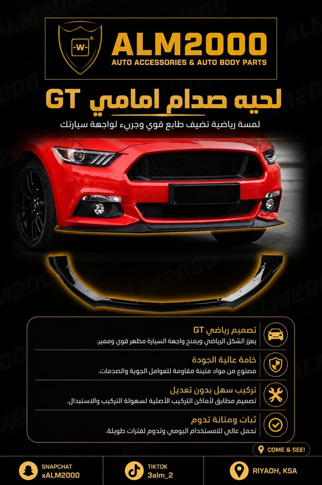 Front Saddam beard GT Mustang 2015-2017