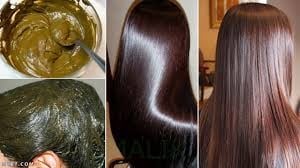 Kazanoun Organic Henna 500 grams free from any chemicals or preservatives