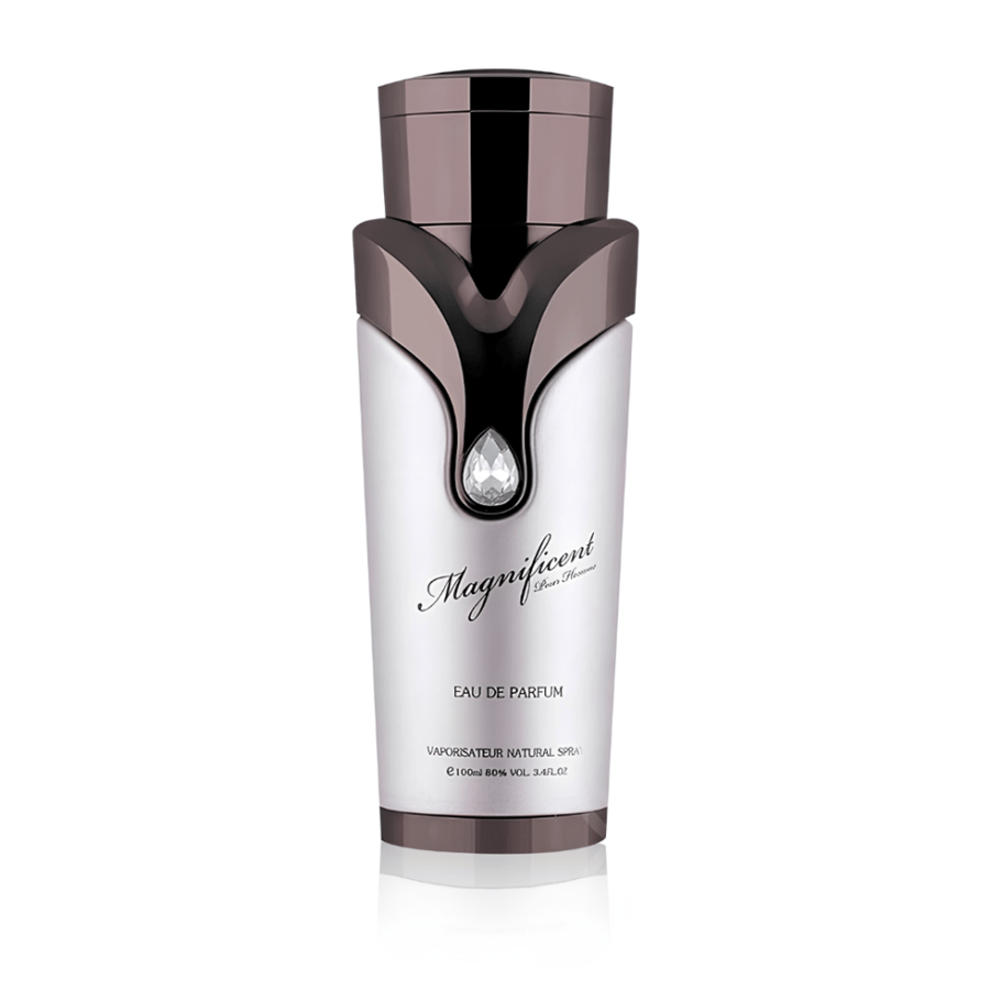 Armaf Magnificent Pour Homme EDP 100ml-6294015108941