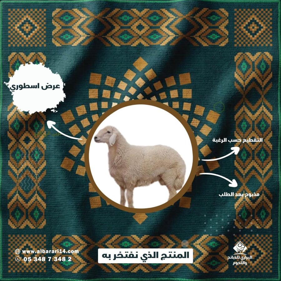 خروف حري صغير