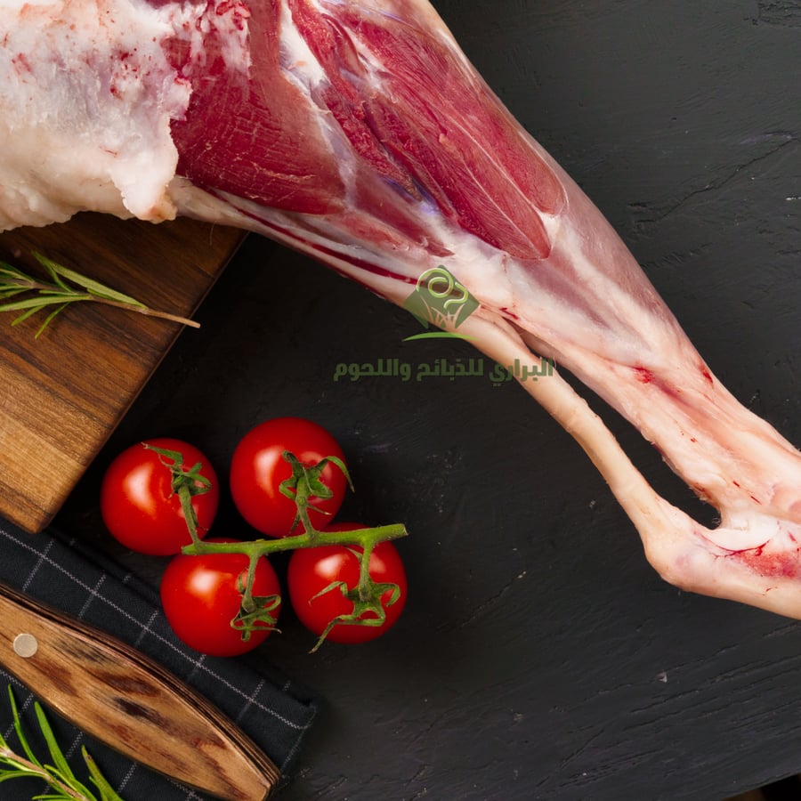 نص ذبيحة سواكني تربية