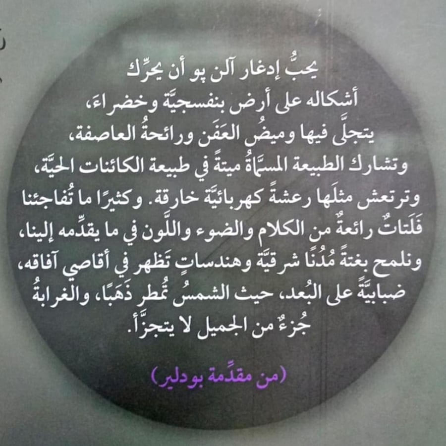 القط الأسود