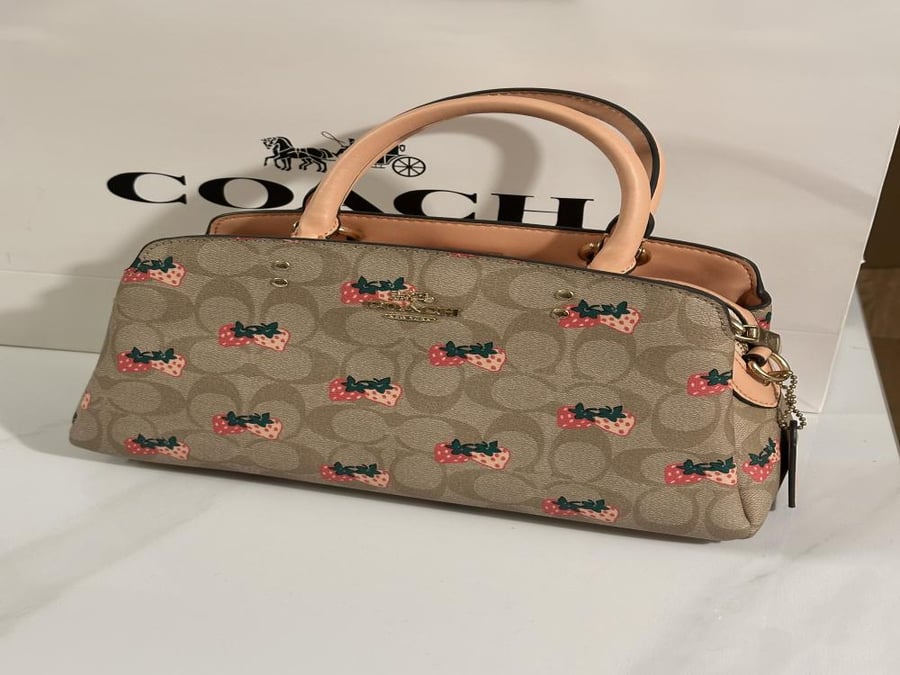 Lillie Carryall Coach bag