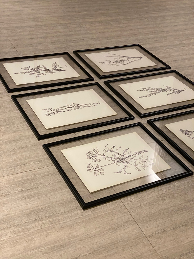 A set of 6 paintings with a frame and acrylic, each painting size 50:40. The price includes the entire set, the frame, and the acrylic.