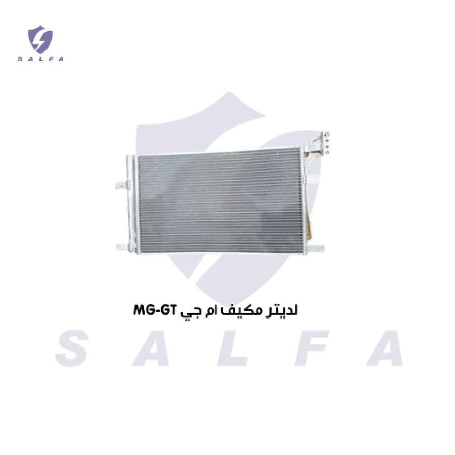 لديتر مكيف