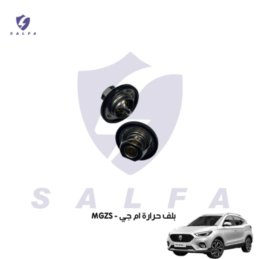 بلف حرارة ثرموستات إم جي ZS