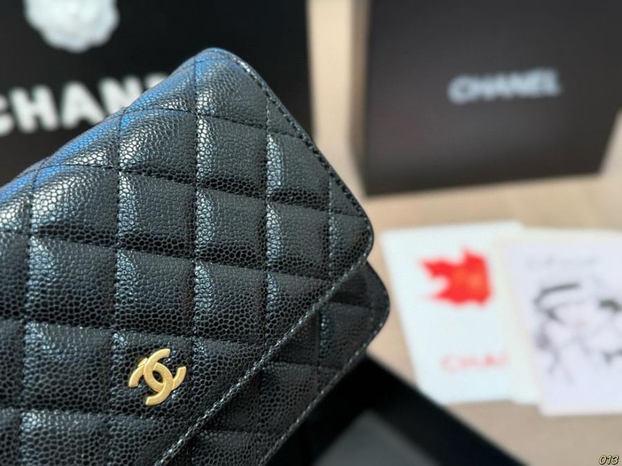 شنطة  نسائية CT3