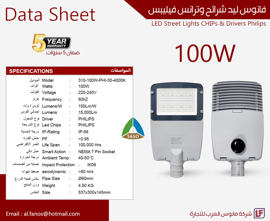 Street Light with Philips Driver
