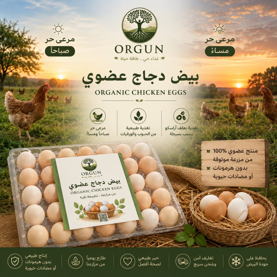 بيض عضوي