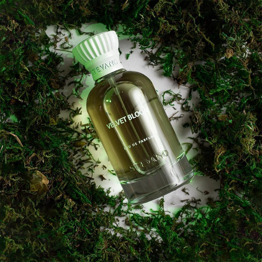 عطر فلفت بلوم من ستيفانو 100مل