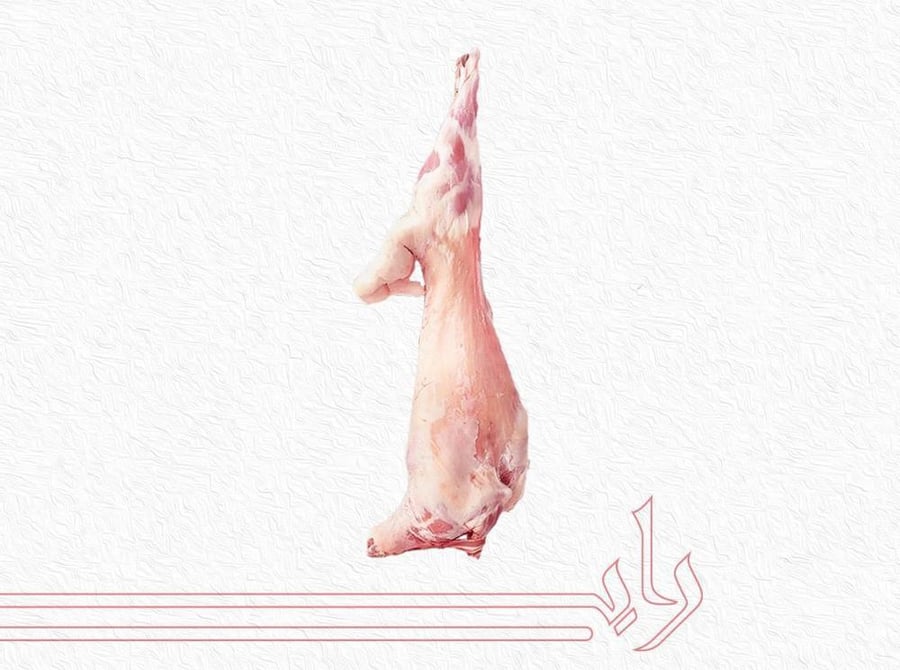 نعيمي كشميري جذع وزن من 14.1 الى 15 كيلو