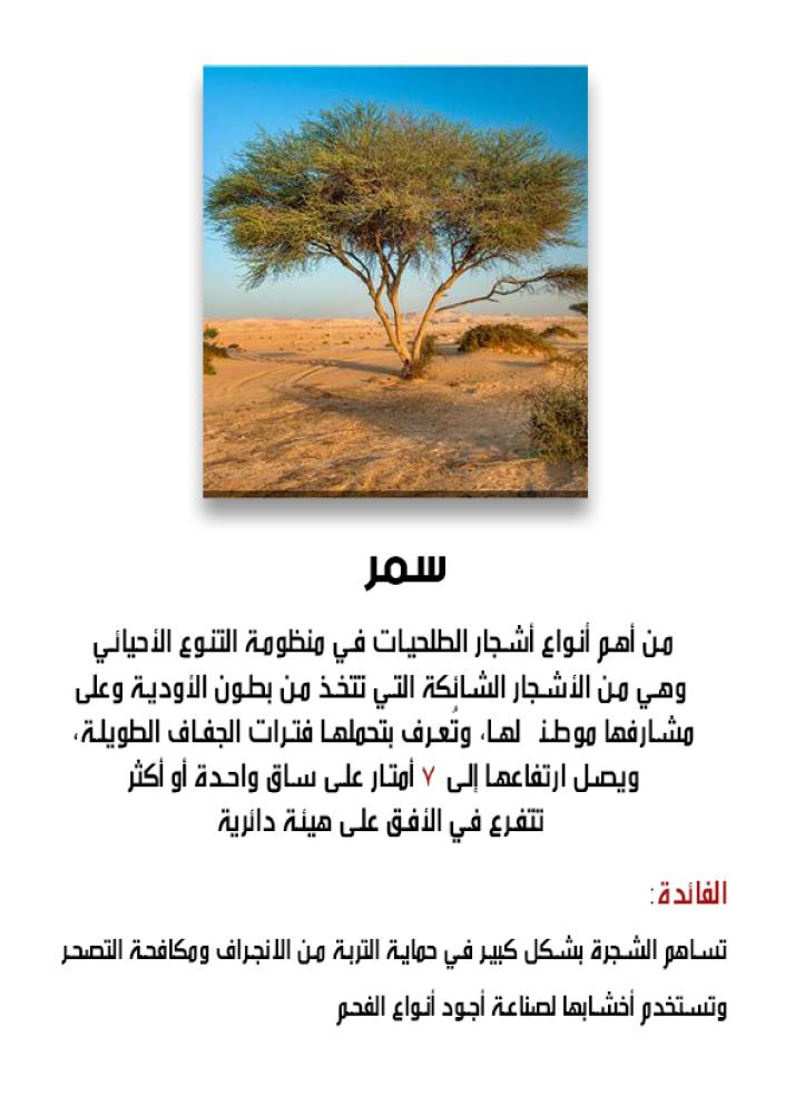 No translation needed.