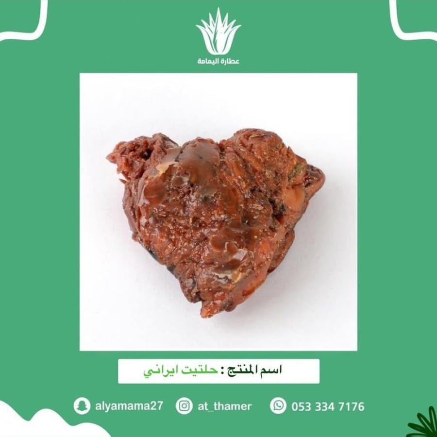 حلتيت ايراني - طري - 15 جرام