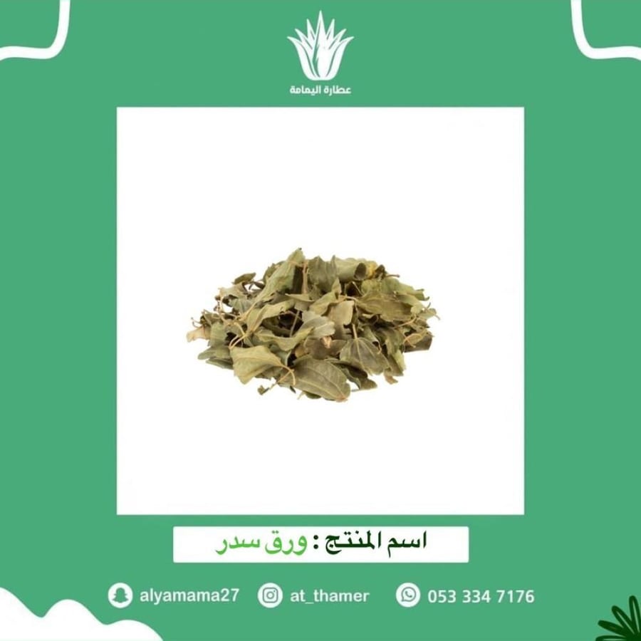 ورق سدر