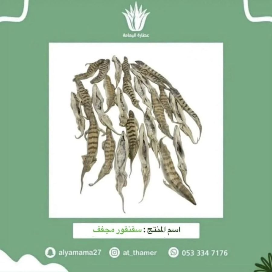 سقنقور مجفف - 2 حبة