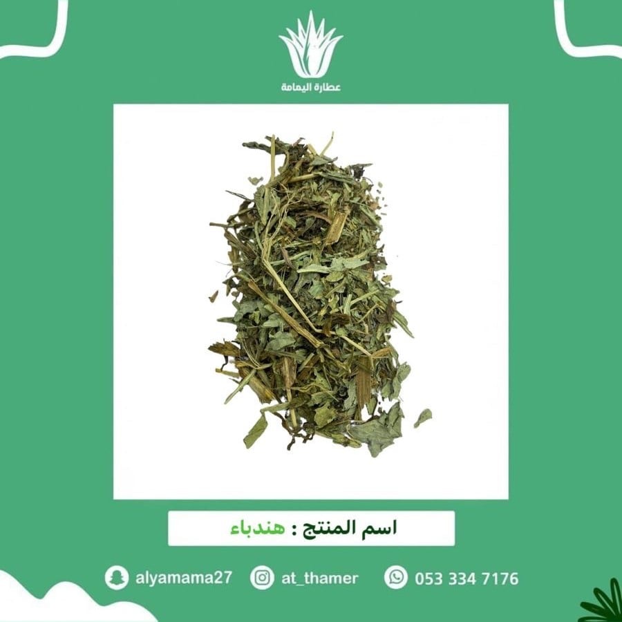 هندباء