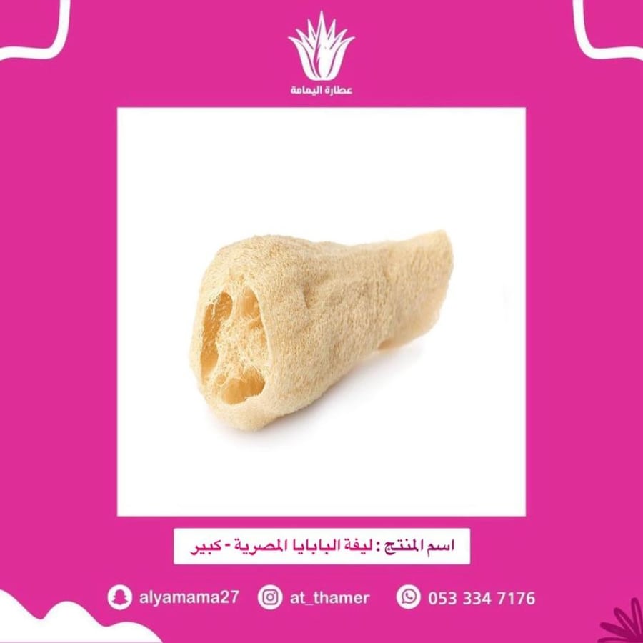 Egyptian papaya loofah - large