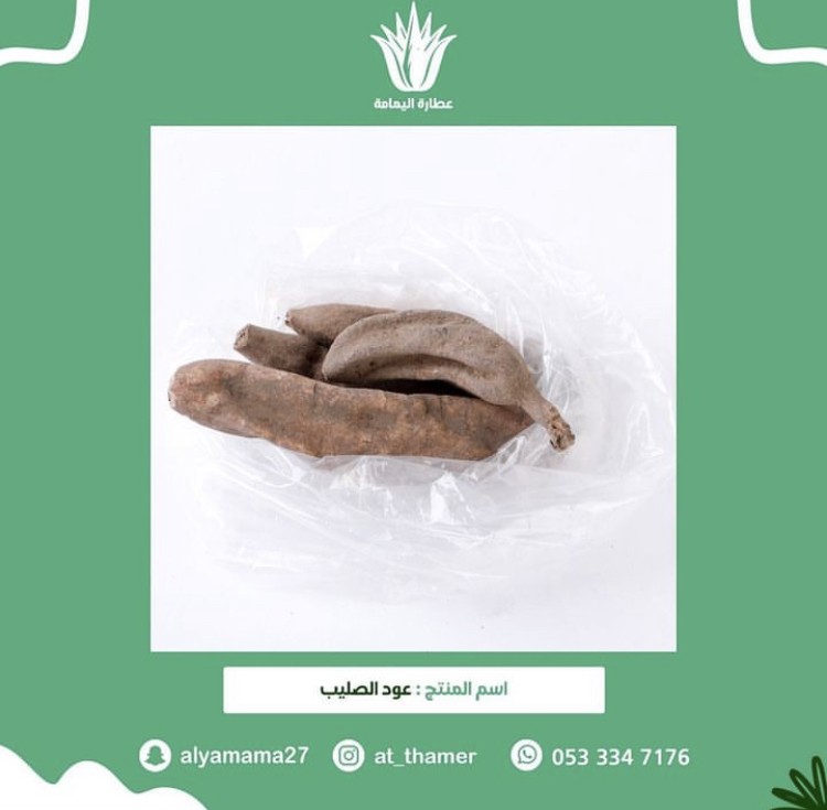 عود الصليب