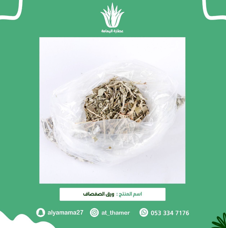 ورق صفصاف