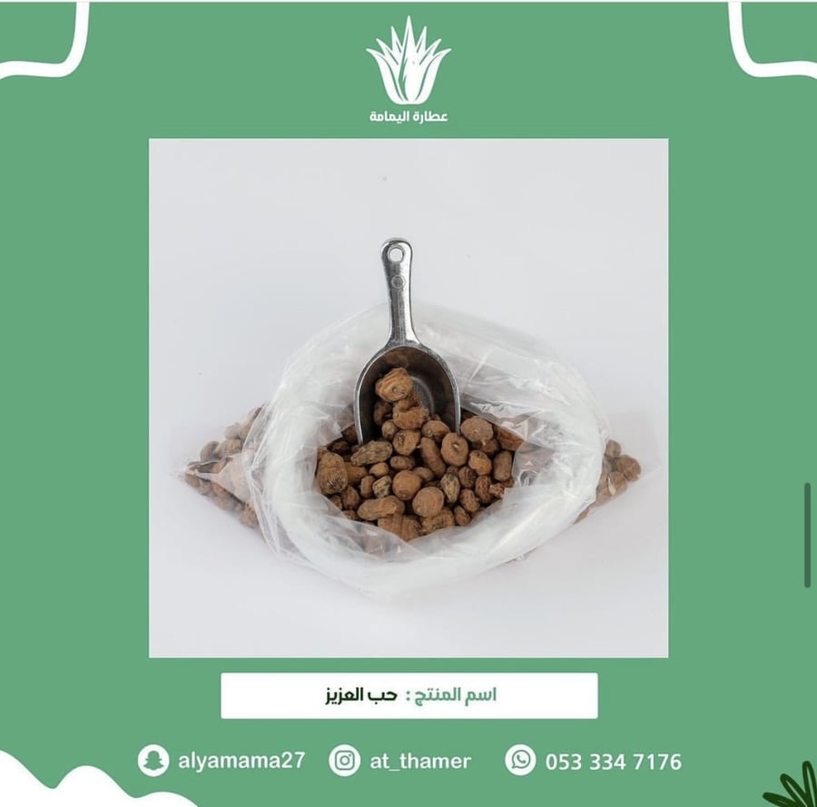 حب العزيز